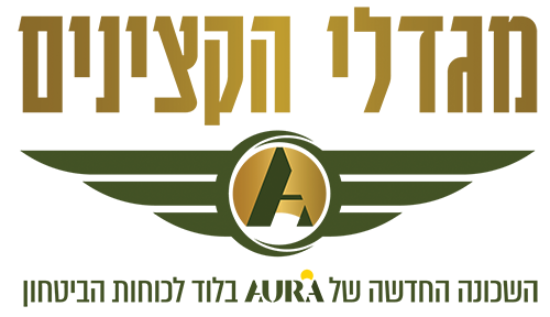 לודאים בנדלן | בונים ציונות במרכז. משקיעים בלוד.