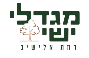 לודאים בנדלן | בונים ציונות במרכז. משקיעים בלוד.